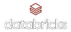 Databricks Partner