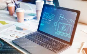 Which CMS Platform is Right for My Company